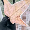 autumn.vibes91