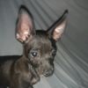 lila.y.snupy