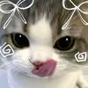 angely_ross1