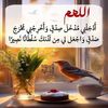 user95405610028266