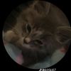 rosalbina.martine8