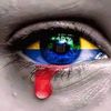 rodmar.rodrigo