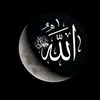 user5231156614442