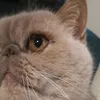 lilymiuuuu