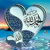 user2121077666208