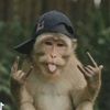 andre.oiiii2