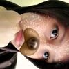 zahrafilez_