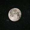 moonkelp_27