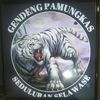 pemburumistiss