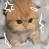 thea_lyk0