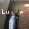 alexavet07