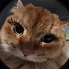 esther_polli