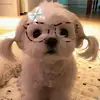 sammywammy821
