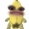shixierei
