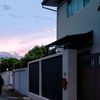 nutnicha_4585