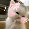 sky_angel463