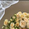 rasha.alotaibi12
