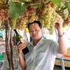 a.phong176