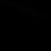 staifi_31x