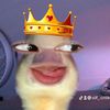 syi_fa393