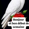 assansanogo186