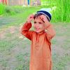 malik.hamza4053
