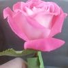 user1291505943603