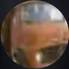lucasjonas124