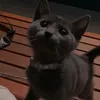 natus_27
