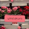 om.abdo0980