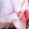 s.m4__12