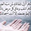 user7301760639915
