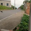 mauricio.valente51