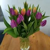 yuliia.hulyk