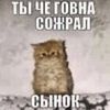 k8k9l3