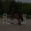 lxcjaa.a