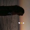 _dahab12_