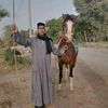 user9119338296162