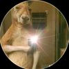 erick.adolfo.rodr0
