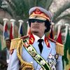 majed9845
