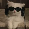 Music Time 🎵