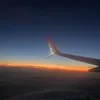 estellax5