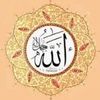 mohsin.raza6566