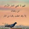 user7059131508100