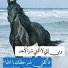rabah.gemat