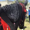 ghadeer55082