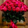 user40215526693901