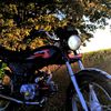 _viper_110cc_