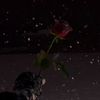 why_night_moonlight