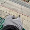 David_rodriguez